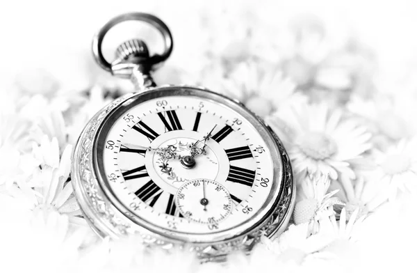 Relógio de bolso em uma bela flores românticas, versão monocromática — Fotografia de Stock