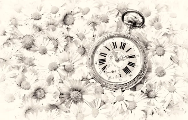 Güzel bir romantik çiçekler, tek renkli sürüm cep saati — Stok fotoğraf