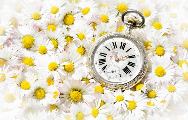 Relógio de bolso em uma bela flores românticas — Fotografia de Stock