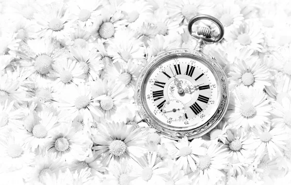 Pocket watch in a beautiful romantic flowers, monochrome version — Stock Photo, Image