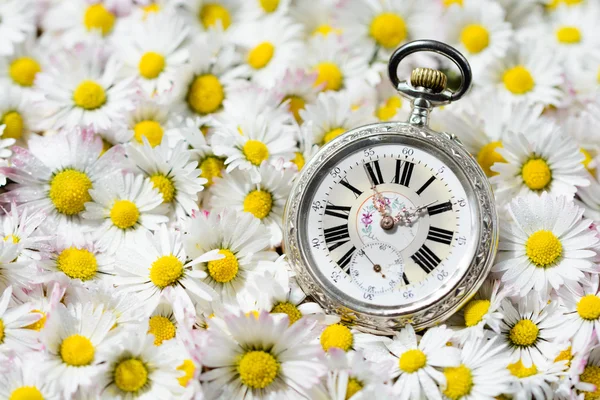 Relógio de bolso em uma bela flores românticas — Fotografia de Stock