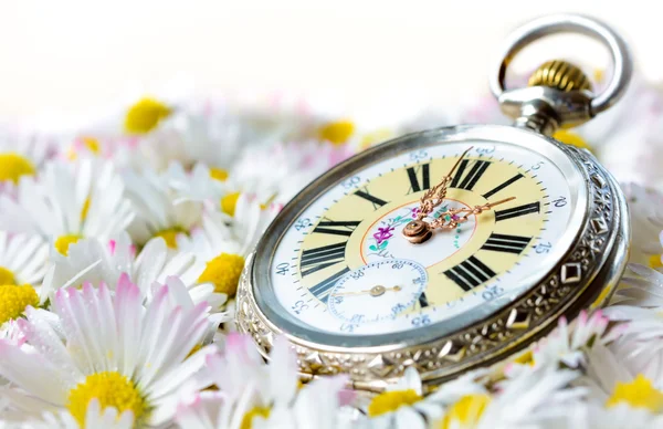 Pocket watch in a beautiful romantic flowers — Stock Photo, Image