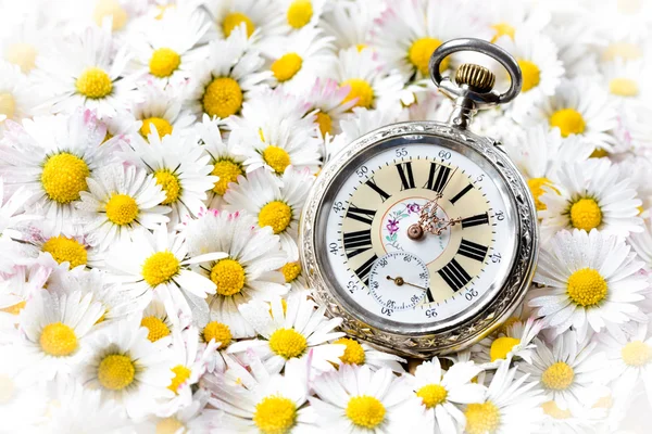 Relógio de bolso em uma bela flores românticas — Fotografia de Stock