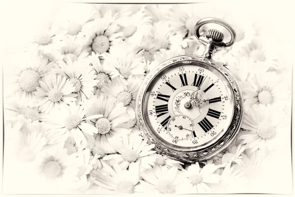 Кишеньковий годинник в красивій романтичній квітці монохромна версія з пристойною рамкою — стокове фото