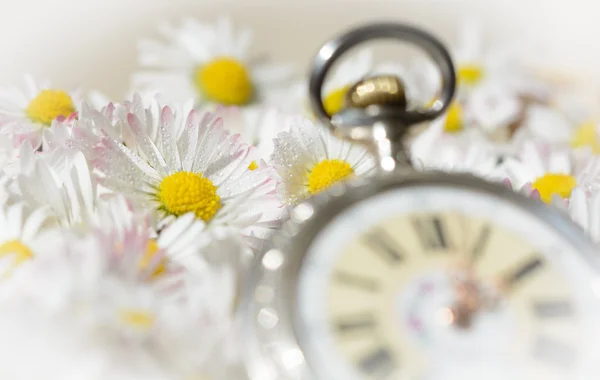 Ρολόι τσέπης, σε ένα όμορφα ρομαντικά λουλούδια — Φωτογραφία Αρχείου