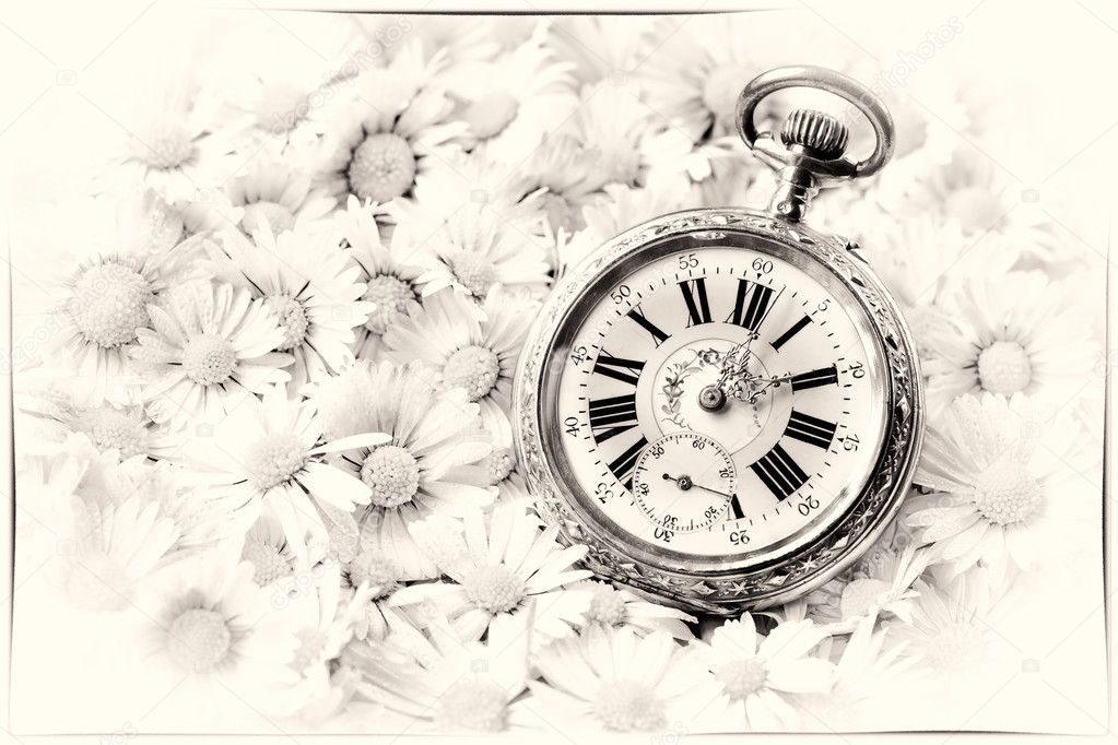 pocket watch in a beautiful romantic flowers monochrome version with decent frame