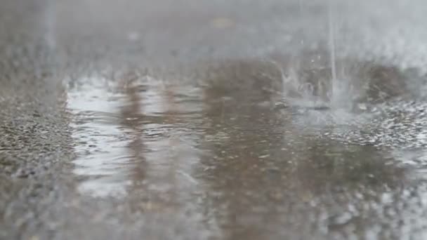 Pluie d'eau sur la surface d'asphalte — Video