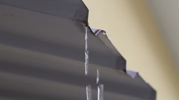 Капание воды с крыши — стоковое видео