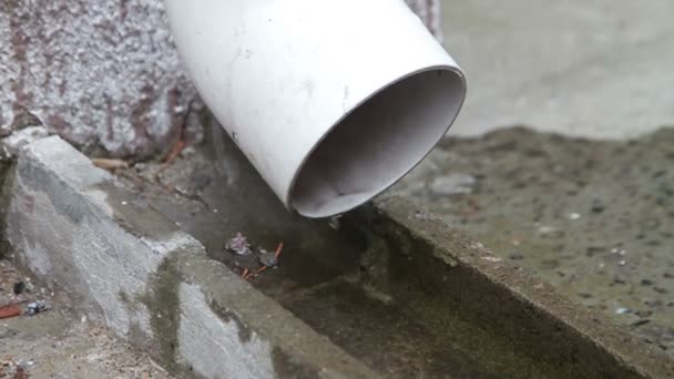 Gotas de agua de la tubería de drenaje — Vídeos de Stock