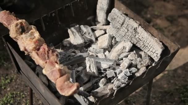 Barbecue met heerlijk gegrild vlees op grill. — Stockvideo