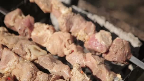 Barbecue met heerlijk gegrild vlees op grill. — Stockvideo