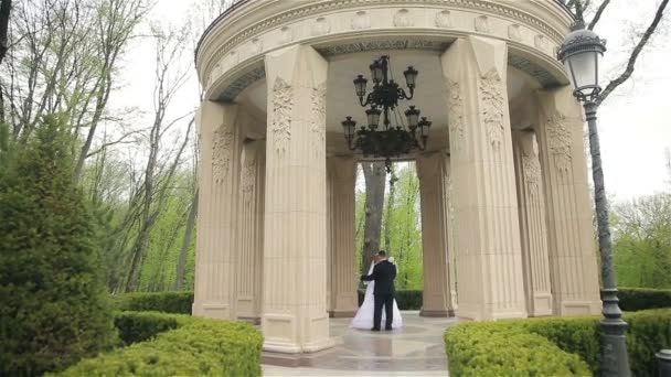 Bride and groom dancing in the beautiful park — Stock Video