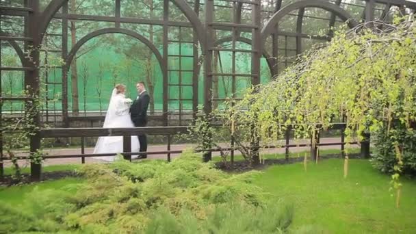 Novia y novio posan a fotógrafo al aire libre — Vídeos de Stock