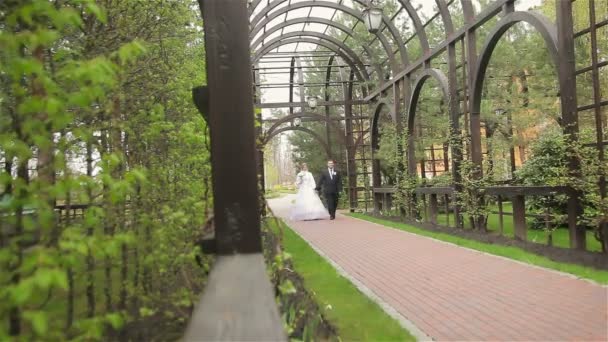 Невеста и жених позируют фотографу на открытом воздухе — стоковое видео