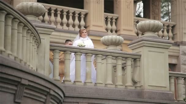 Bride and groom walking in park — Stock Video