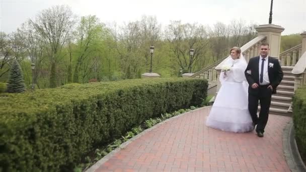 Braut und Bräutigam spazieren im Park — Stockvideo