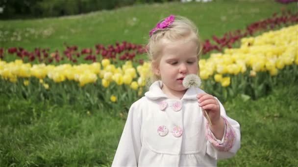 Niña rubia soplando un diente de león — Vídeo de stock