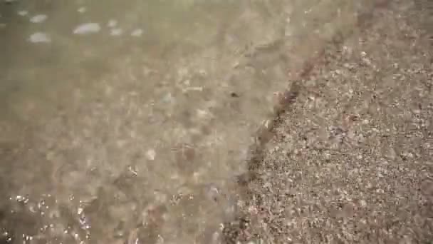 Маленькие морские раковины на песке, морские волны на пляже — стоковое видео