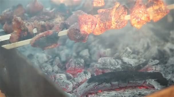 Freír la carne en los pinchos. Picnic. . — Vídeos de Stock