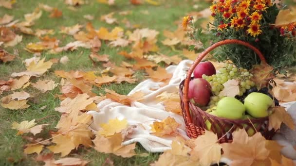 Jesienna martwa natura — Wideo stockowe
