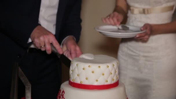 Pareja de boda corta pastel de boda — Vídeos de Stock