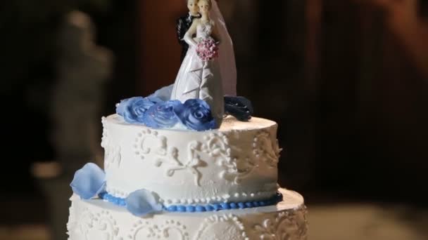 Beautiful Wedding Cake — Stock Video