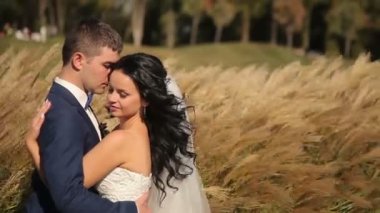 Gelin ve damat Park'ta yürüyordunuz, öpüşme