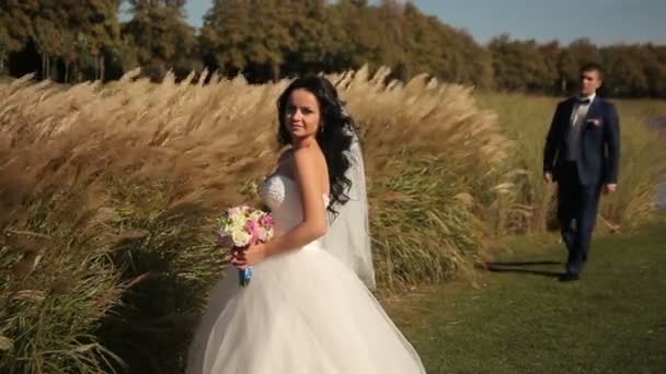 Sposa e sposo a piedi nel parco, baci — Video Stock