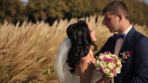 Novia y novio caminando en el parque, besándose — Vídeos de Stock