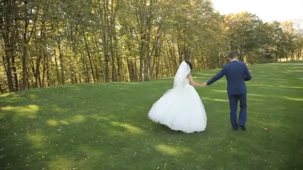 Braut und Bräutigam spazieren im Park und küssen sich — Stockvideo