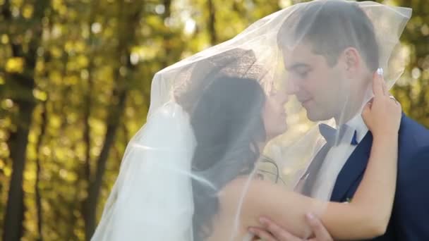 新娘和新郎在公园散步，接吻 — 图库视频影像
