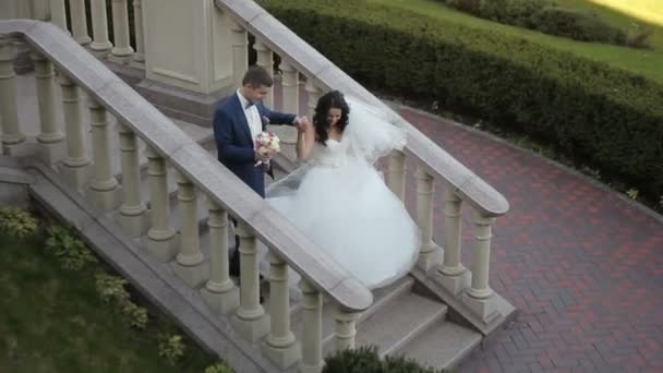 Жених и невеста гуляют в парке, целуются — стоковое видео