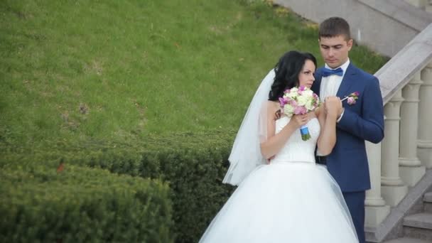 Novia y novio caminando en el parque, besándose — Vídeos de Stock