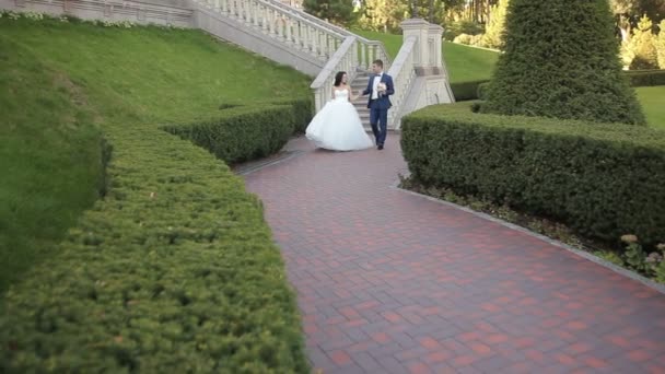 Braut und Bräutigam spazieren im Park und küssen sich — Stockvideo