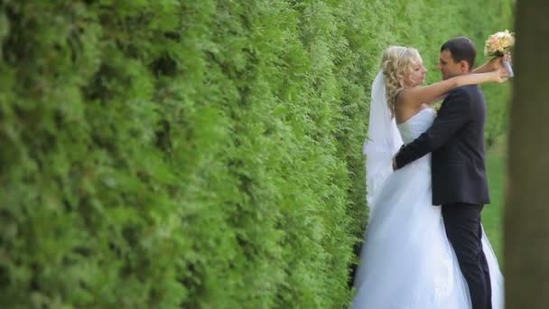 Nevěsta a ženich procházky v parku — Stock video