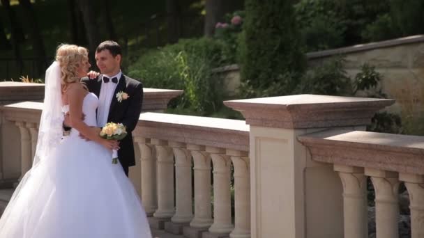 Novia y novio caminando en el parque — Vídeos de Stock