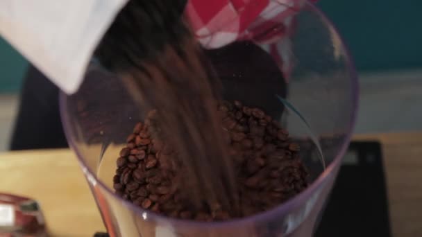 Granos de café en un molinillo de café — Vídeo de stock