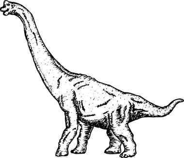 Brontosaurus Sketch vektör çizim