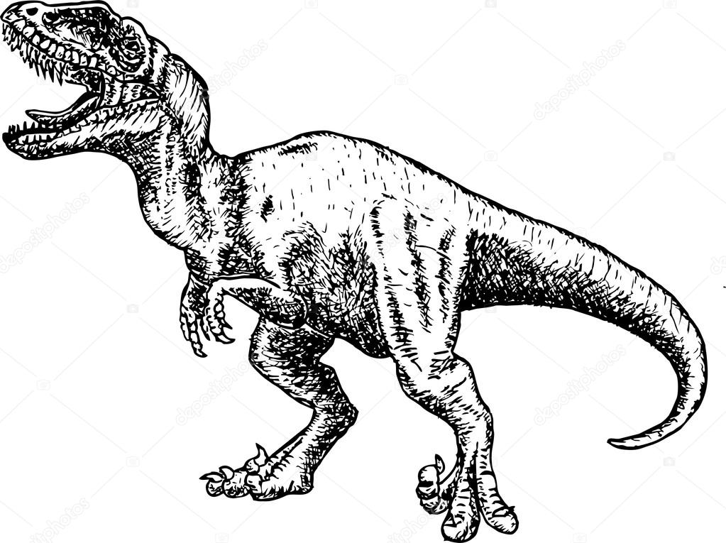 Dracorex Dinosaur Pencil Drawing Style Stock Illustration - Illustration of  drawing, action: 78075041