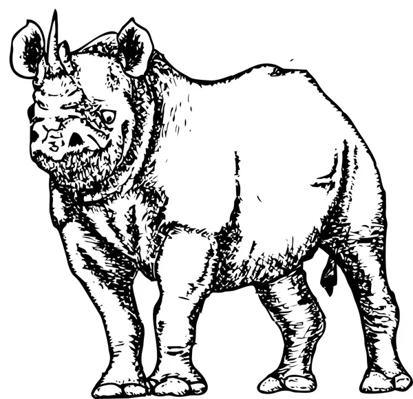 Dessin noir et blanc d'un croquis de rhinocéros — Image vectorielle