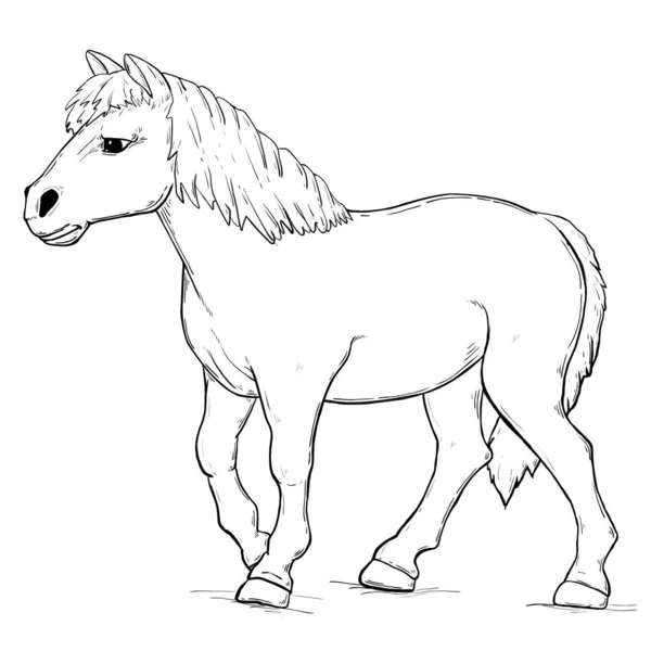 Rysowanie Linii Horse Sketch Białym Tle — Wektor stockowy