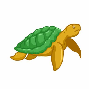 Kaplumbağanın çizimi