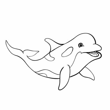 Orka görüntüsü izole edildi