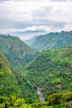 Dini bir sahneyi karanlık bir alanda tasvir eden canlı bir vitray. Karmaşık renkler ve tasarımlar sergiliyor..