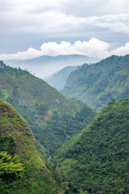 Dini bir sahneyi karanlık bir alanda tasvir eden canlı bir vitray. Karmaşık renkler ve tasarımlar sergiliyor..