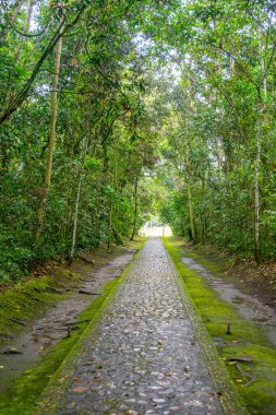 Kolombiya 'nın Huila bölgesindeki UNESCO Dünya Mirası bölgesi San Agustin' de yemyeşil bir araziyle çevrili sakin bir kaldırım taşı yolu..
