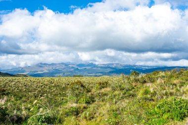 Purac Ulusal Parkı 'nın nefes kesen manzarası yemyeşil bitki örtüsü, narin bitkiler ve bulutlu gökyüzünün altındaki görkemli dağlar..