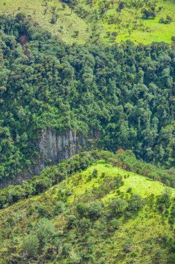 And Dağları 'ndaki canlı yeşil tepelerin ve sık ormanların havadan görünüşü Purace, Cauca, Kolombiya' daki koruma çabalarını vurguluyor..