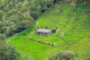 And Dağları 'nın, Purace' in, Cauca 'nın, Kolombiya' nın, büyüleyici doğal güzellikleri arasında bulunan sakin bir ev..