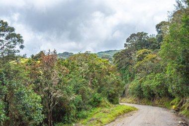Purace, Cauca, Kolombiya 'da yemyeşil bir arazi manzarası bölgenin doğal güzelliklerini sergiliyor..